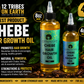Chebe Hair Growth Oil 8oz
